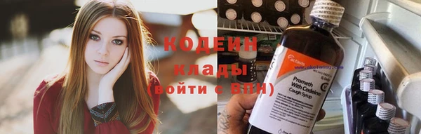 индика Майский