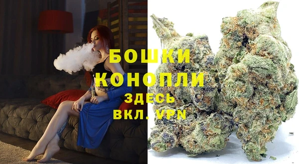 индика Майский