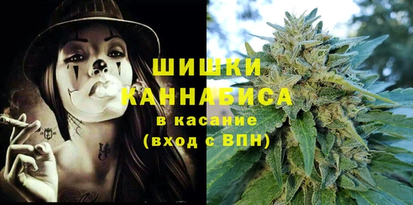индика Майский