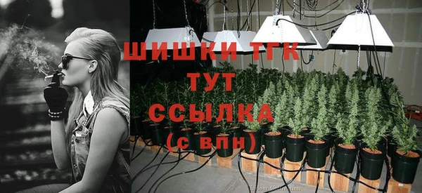 ГАЛЛЮЦИНОГЕННЫЕ ГРИБЫ Магадан