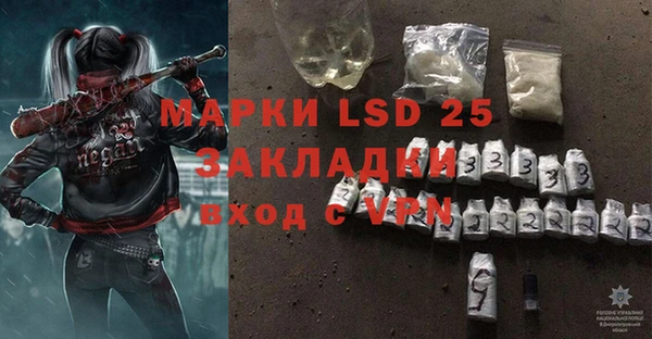 индика Майский