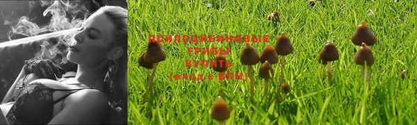 гашик Лиски