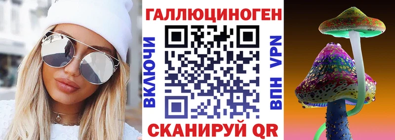 Купить закладки Питкяранта Псилоцибиновые грибы мицелий